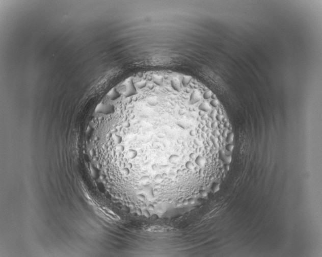 X0000077990542200611171757