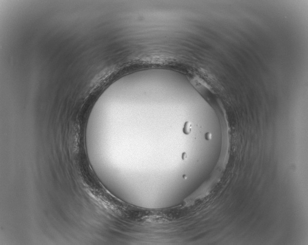 X0000077990544200611171757