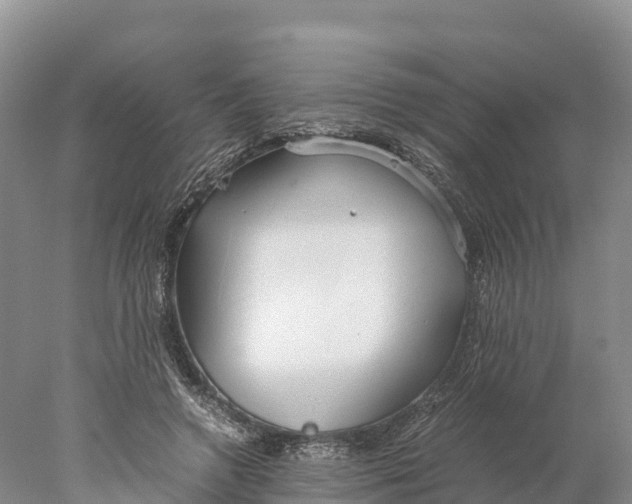 X0000077990546200611171757