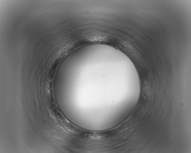 X0000077990547200611171757