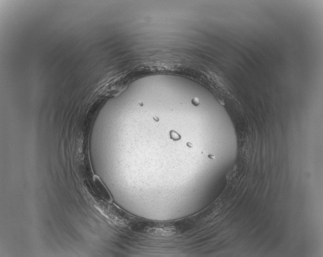 X0000077990548200611171757