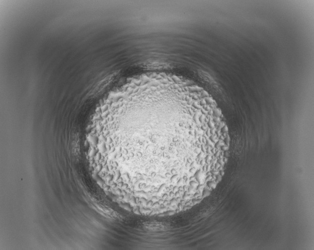 X0000077990549200611171757