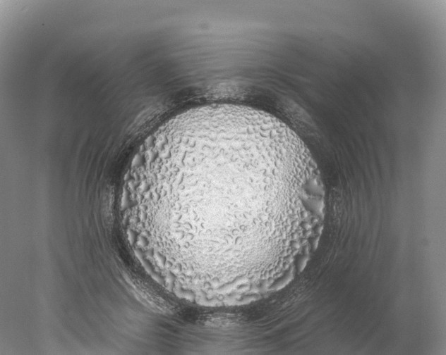 X0000077990550200611171757