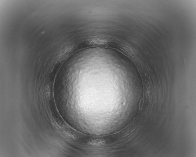 X0000077990551200611171757