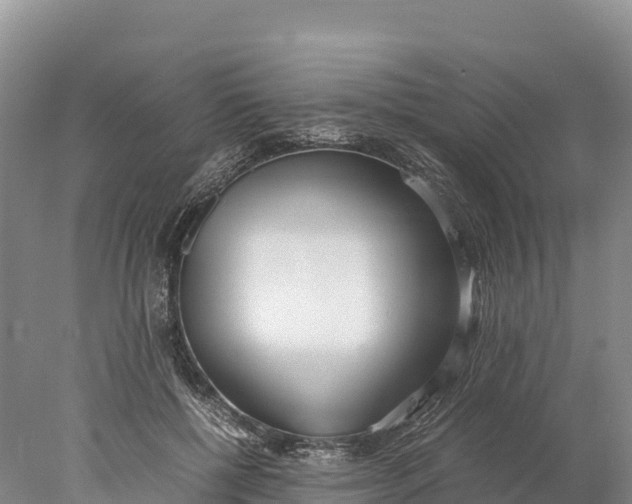 X0000077990552200611171757