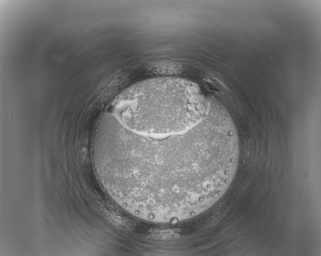 X0000077990553200611171757