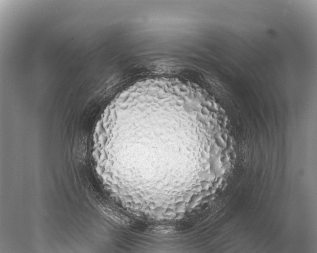 X0000077990554200611171757