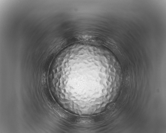 X0000077990555200611171757