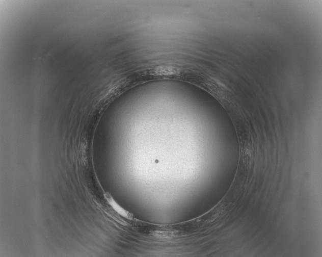 X0000077990556200611171757