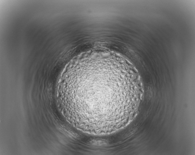 X0000077990557200611171757