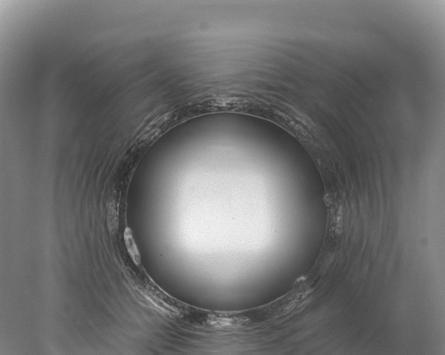 X0000077990558200611171757