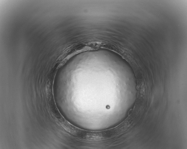 X0000077990559200611171757