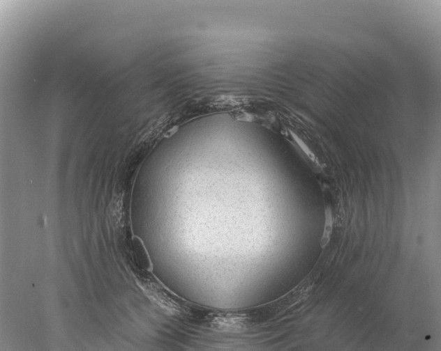 X0000077990560200611171757