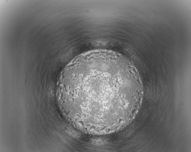 X0000077990561200611171757