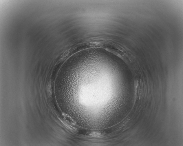 X0000077990562200611171757