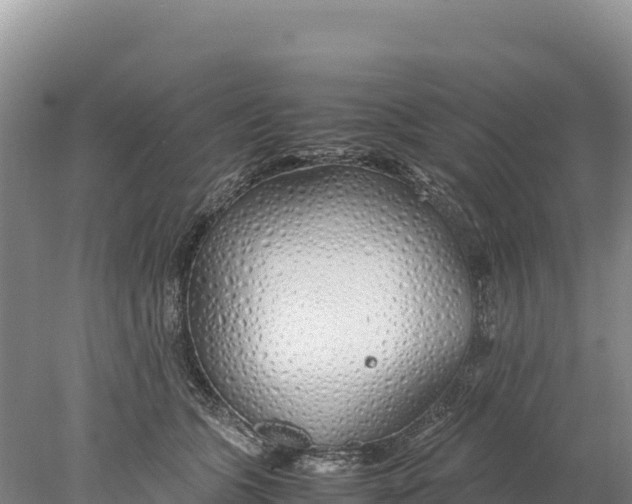 X0000077990563200611171757