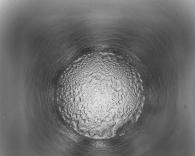 X0000077990565200611171757