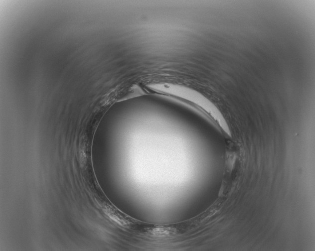 X0000077990566200611171757