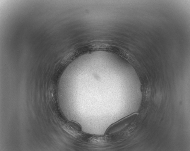 X0000077990567200611171757