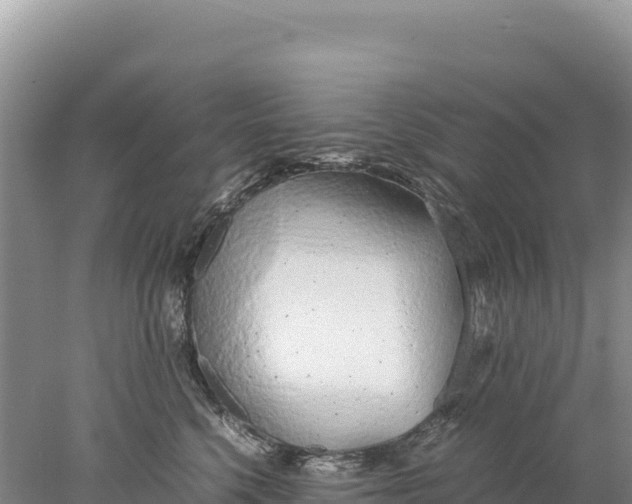 X0000077990568200611171757