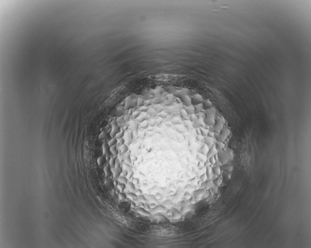 X0000077990569200611171757