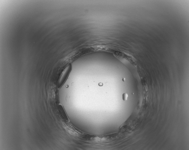 X0000077990570200611171757