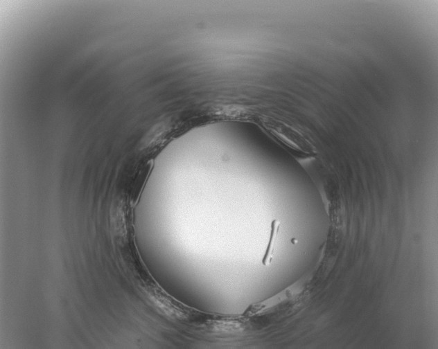 X0000077990572200611171757