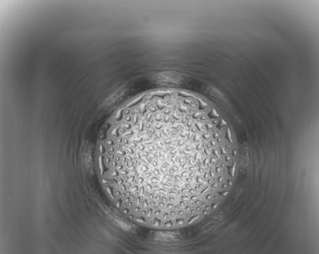 X0000077990573200611171757