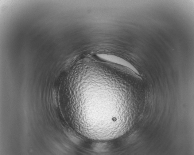 X0000077990575200611171757