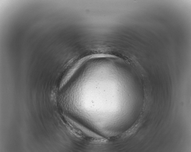 X0000077990576200611171758