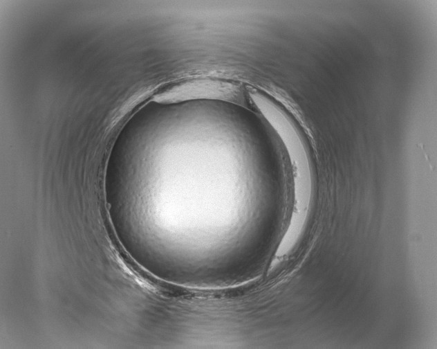 X0000077990577200611171757