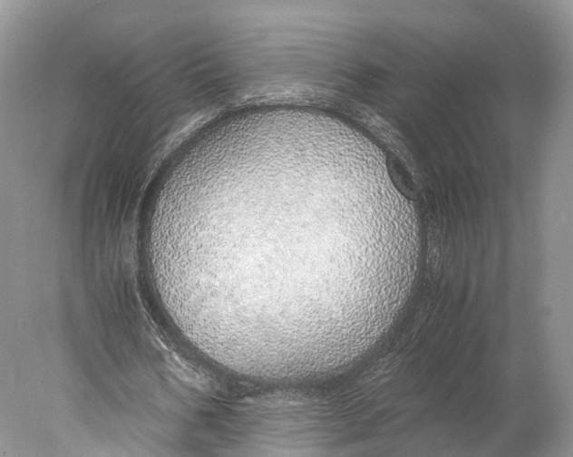 X0000077990578200611171757