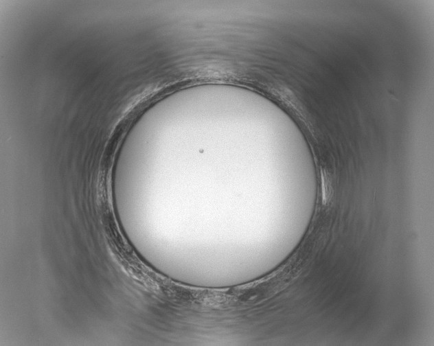 X0000077990579200611171757