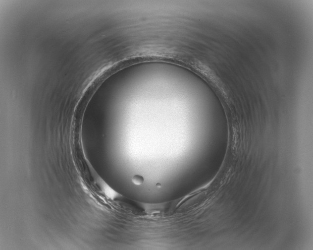 X0000077990580200611171757