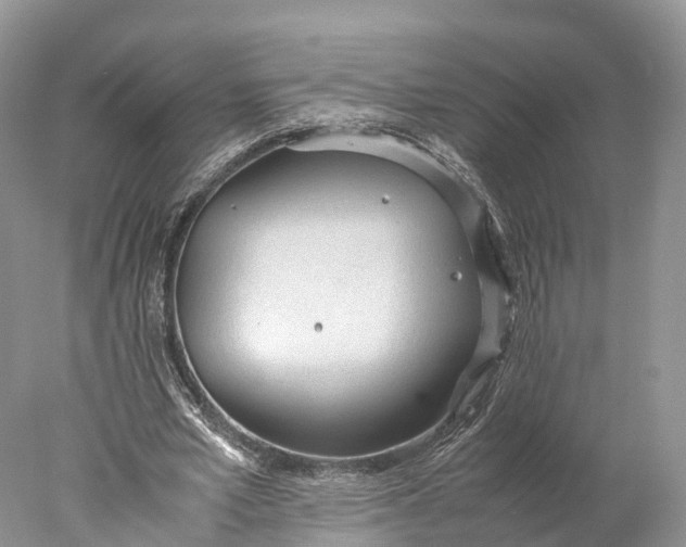 X0000077990581200611171757