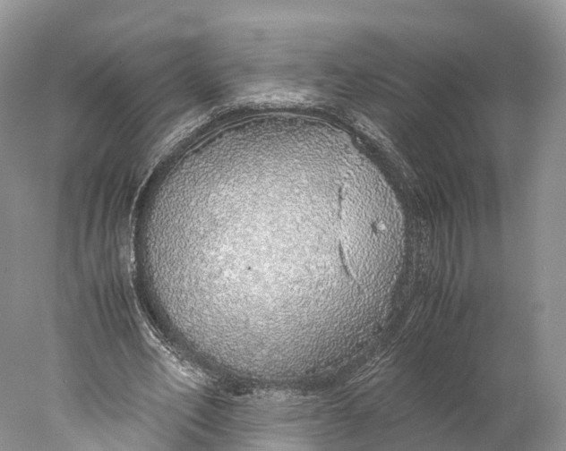 X0000077990582200611171757