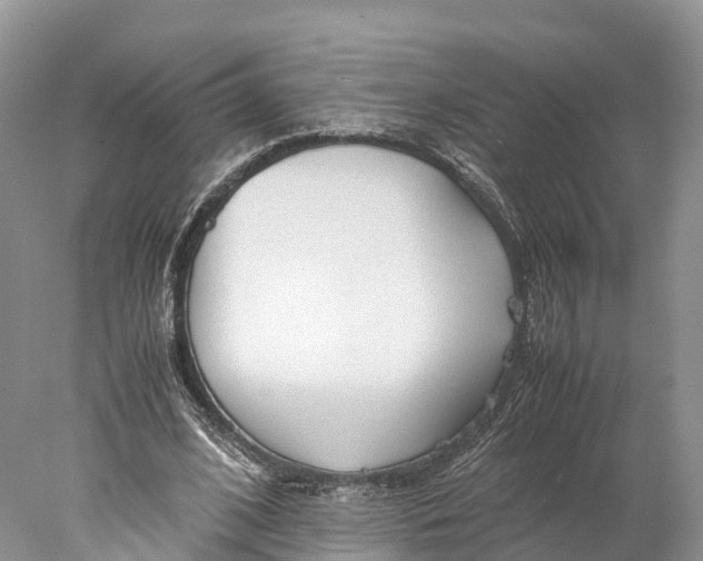 X0000077990584200611171757