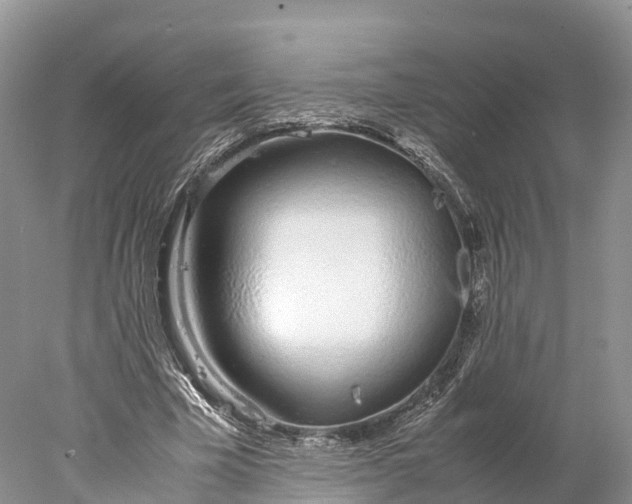 X0000077990585200611171757