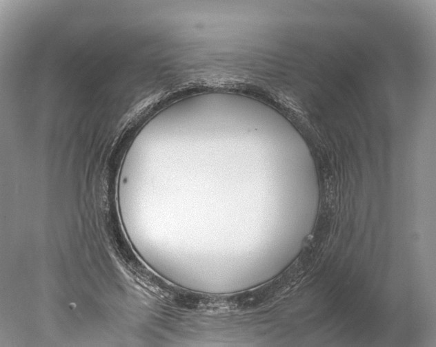 X0000077990587200611171757