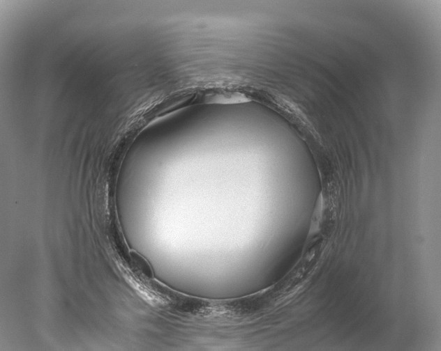 X0000077990589200611171757