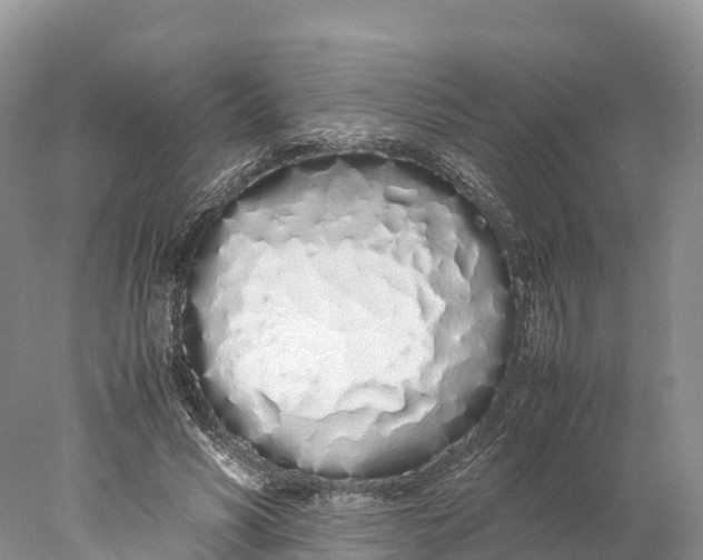 X0000077990590200611171756