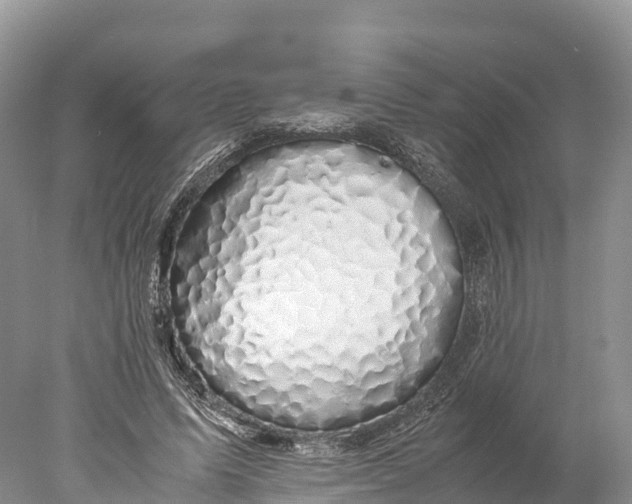 X0000077990591200611171756