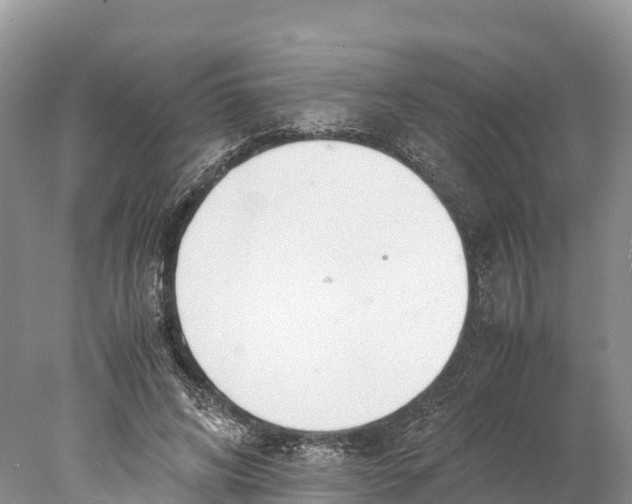 X0000077990592200611171756