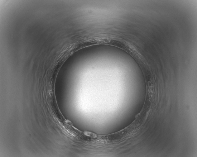 X0000077990593200611171756