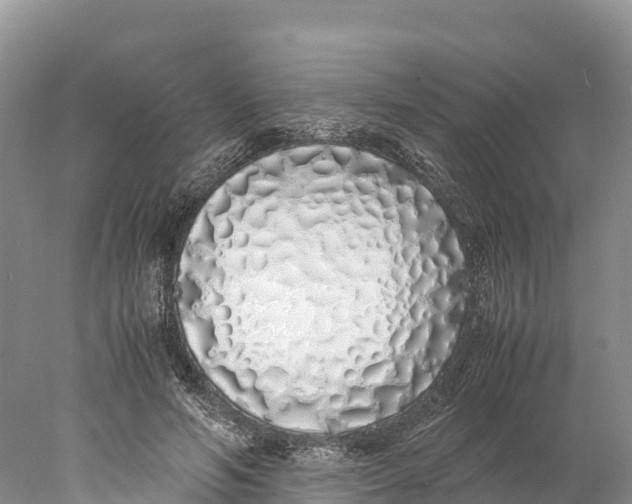 X0000077990594200611171756