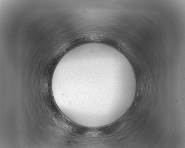 X0000077990595200611171756