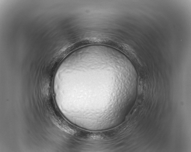 X0000077990596200611171756