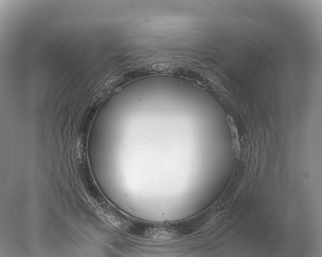 X0000077990597200611171756