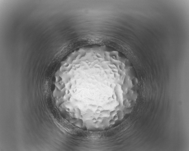 X0000077990598200611171756