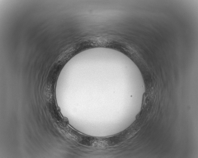 X0000077990599200611171756